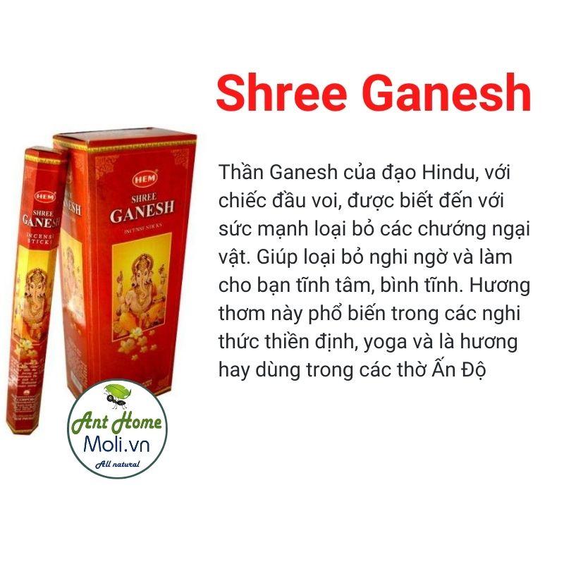 Nhang thần Ganesha cầu hạnh phúc và thành công