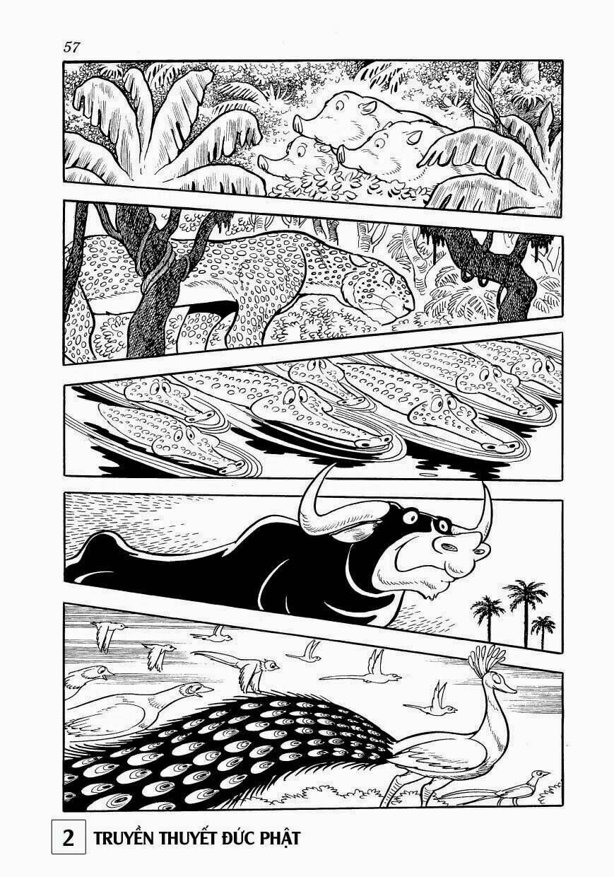 buddha - truyền thuyết đức phật chapter 7 13