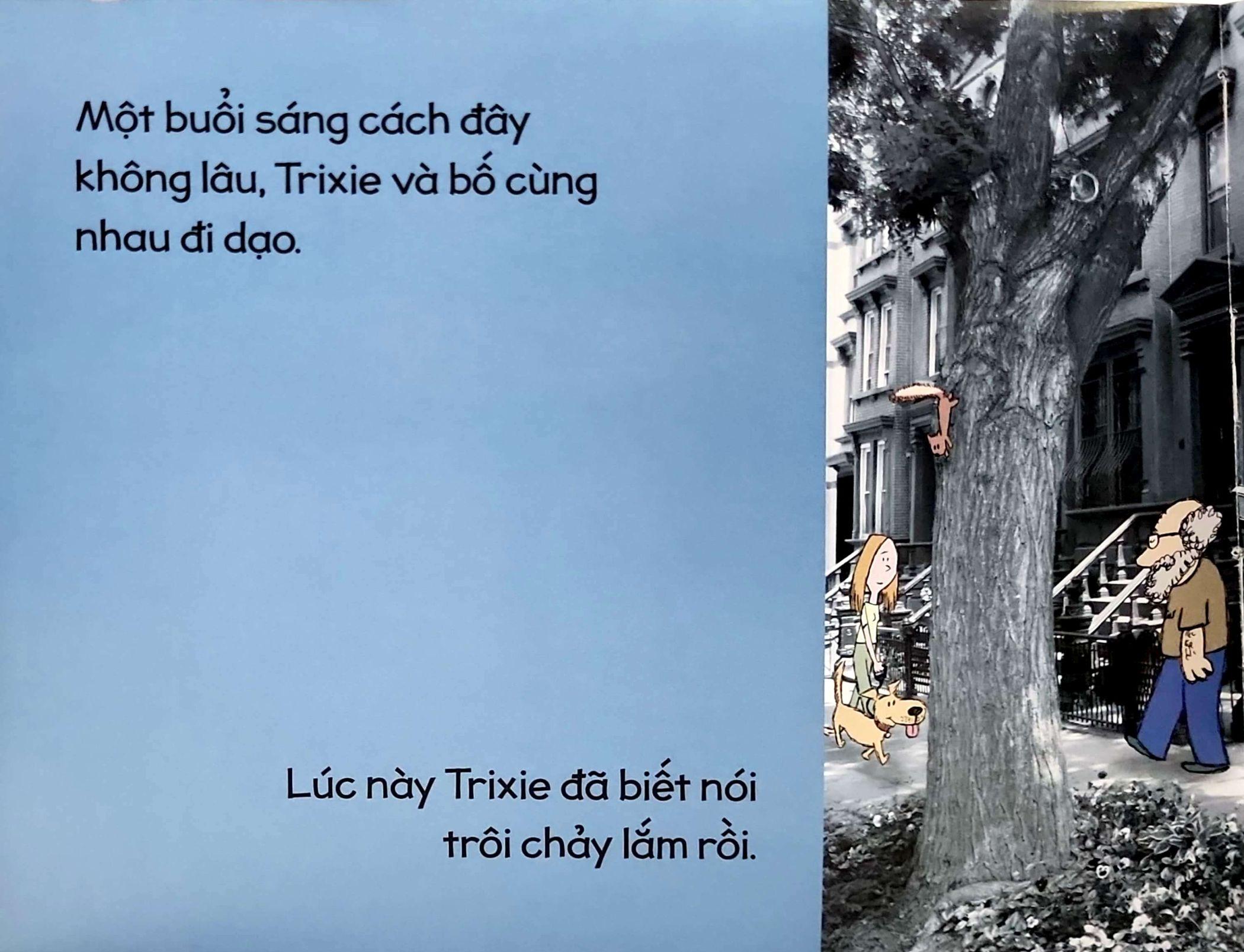 Một Thỏ Bé Bồng Bông Khác