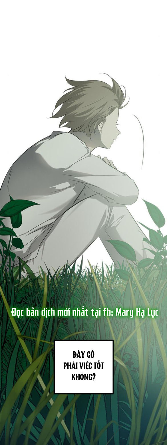 Cạm Bẫy chapter 198.2 12