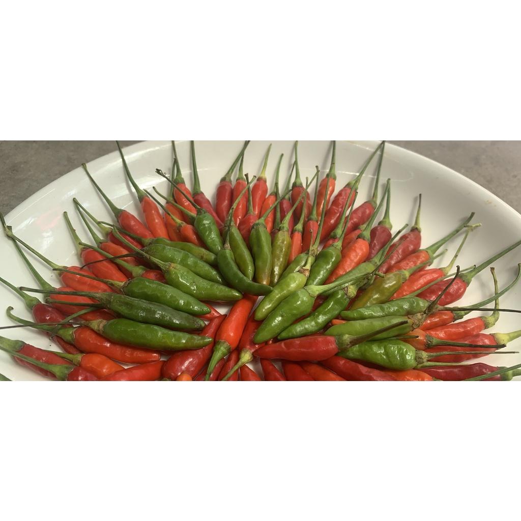 Hạt Giống ớt hiểm xanh 948F1