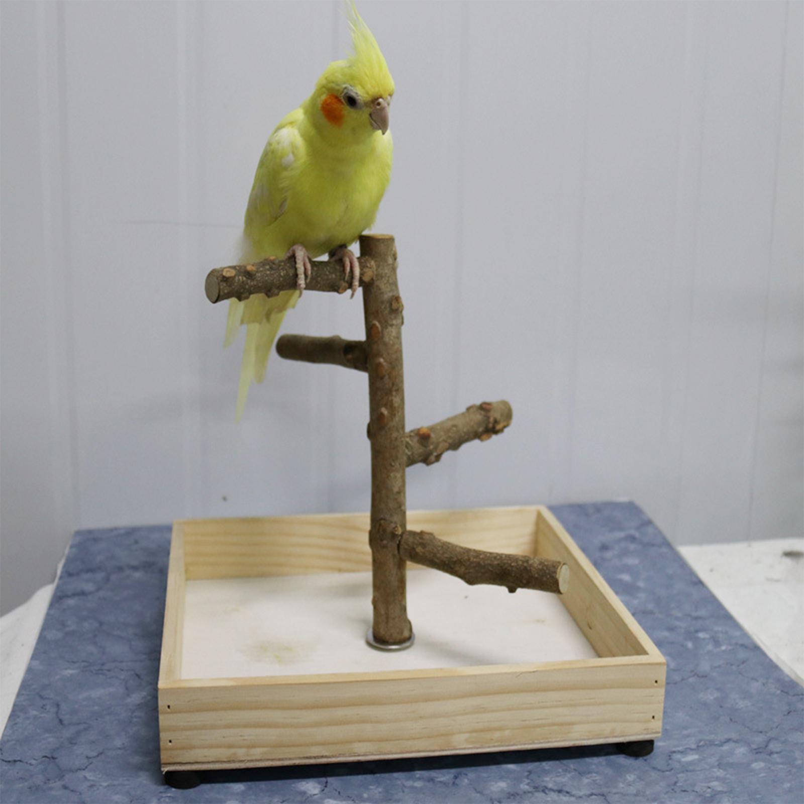 Pack of 2 Bird Perch Bird Training Stand Platform Playground Wooden Branches