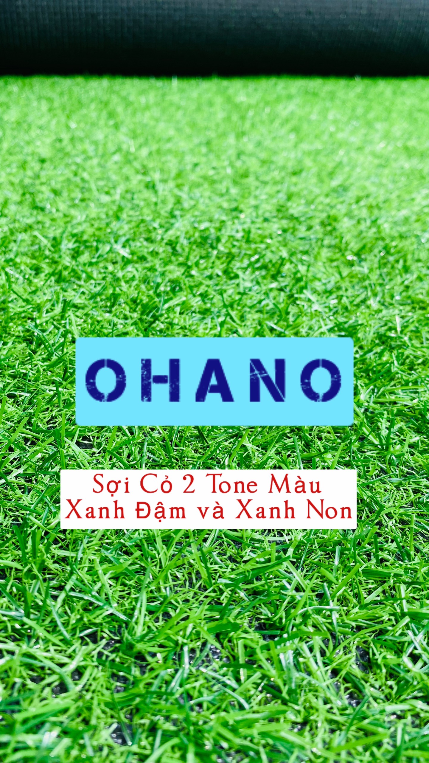 Thảm cỏ nhân tạo 2cm OHANO HN.1, Đế nỉ cứng, Mặt cỏ dày