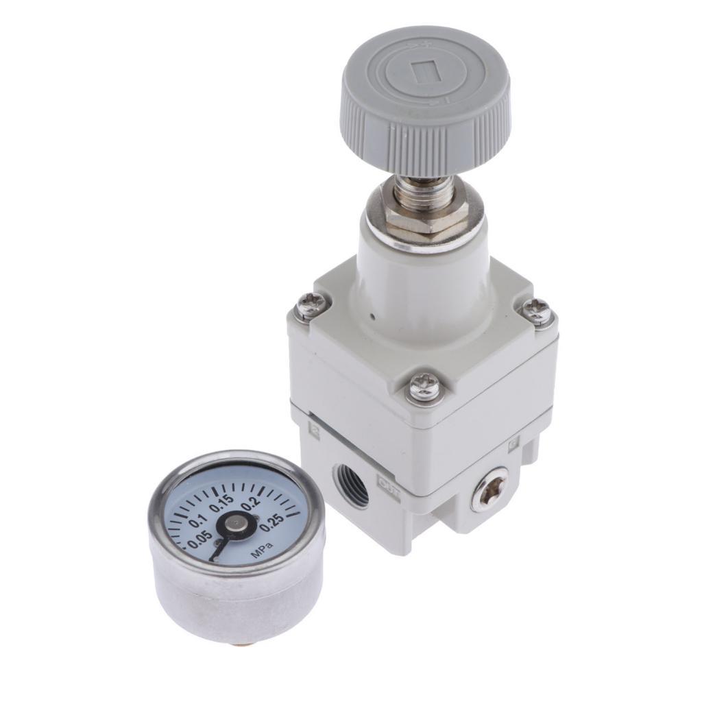 IR1000-01 1/8" Precision Air Pressure Regulating Relief Valve with Gauge