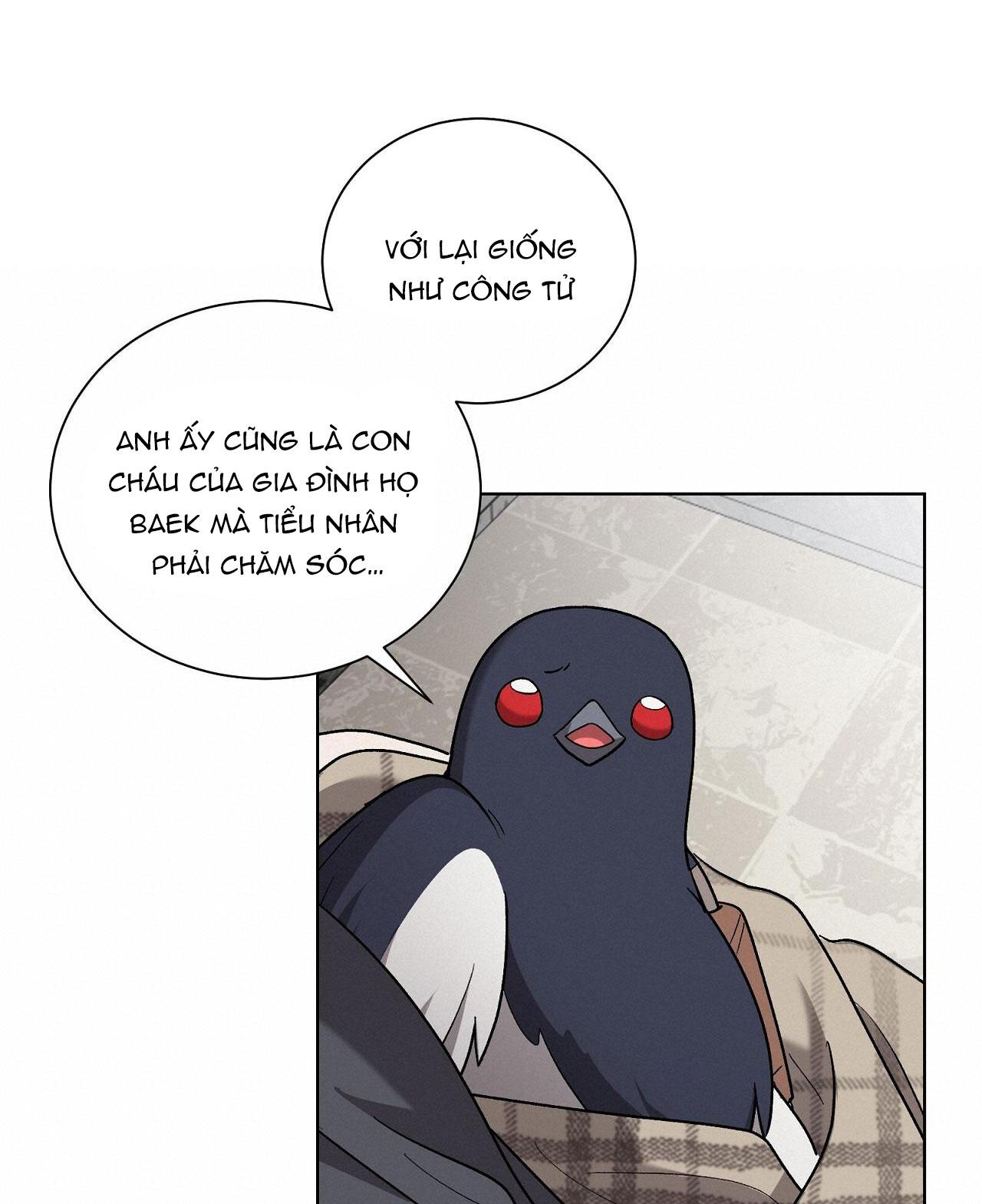 khi chim thước đến chapter 13 50