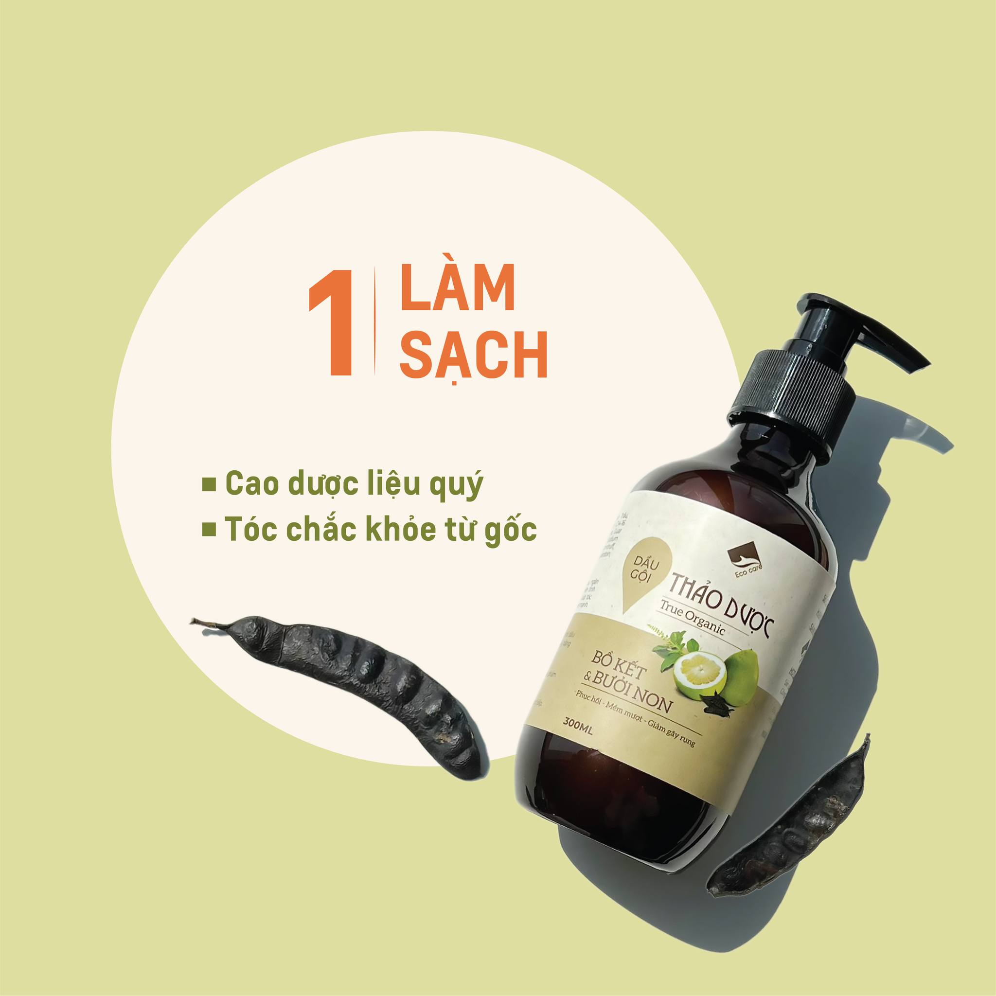 Dầu Gội Xả Thảo Dược ECOCARE Chăm Sóc Tóc Chuyên Sâu - Chuyên biệt cho tóc hư tổn và gãy rụng - Mẫu mới 2023 - Dầu xả thảo dược