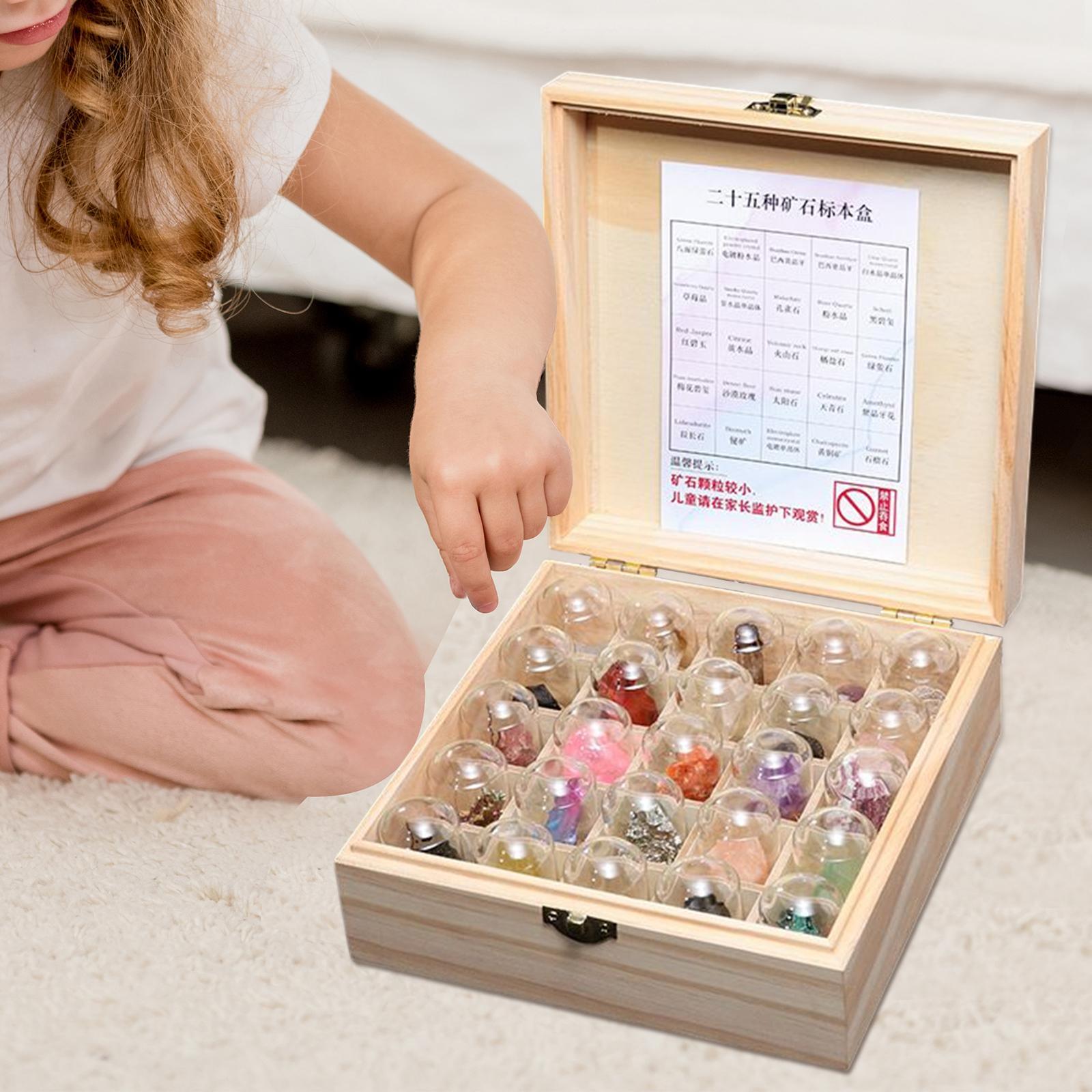 Novelty Rock and Mineral Collection for Adults Boys Birthday Gift