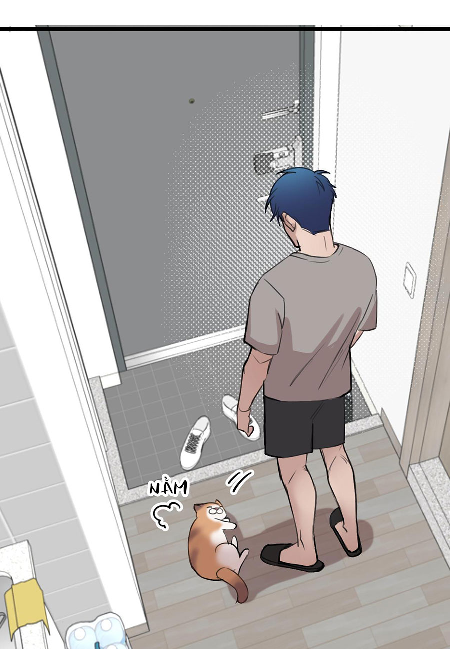 rốt cuộc bé mèo đang nghĩ gì ? chapter 18 18