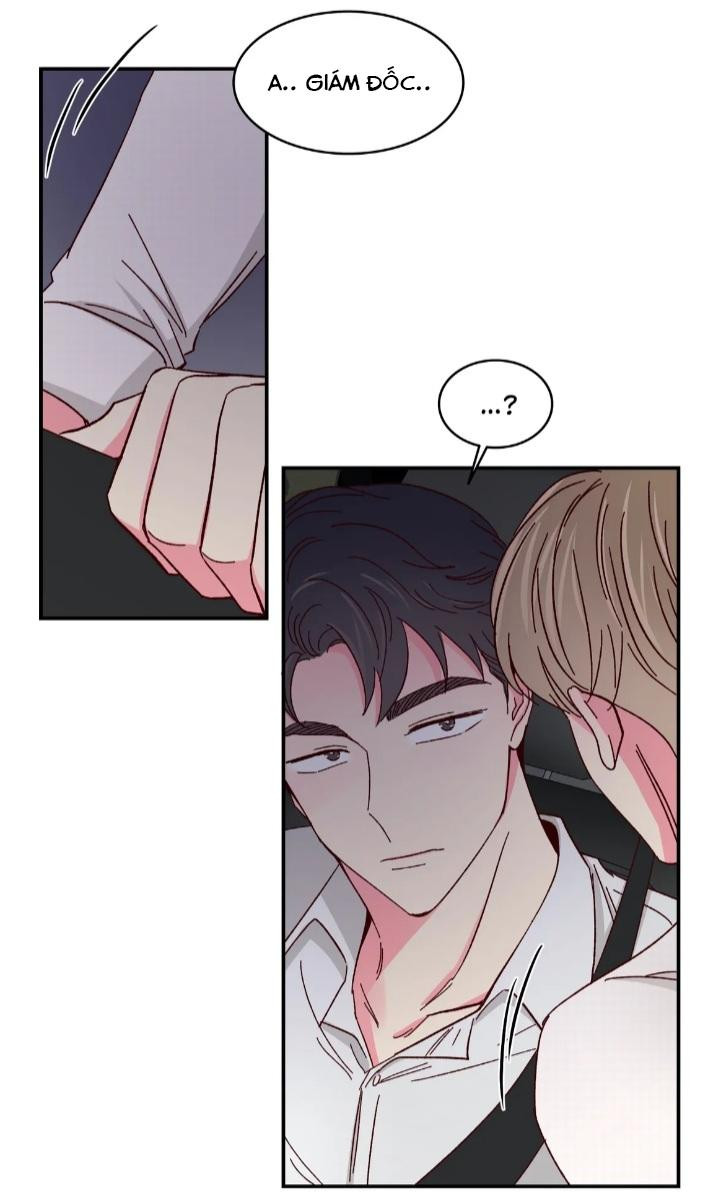 món tráng miệng của sếp tổng chapter 52 33