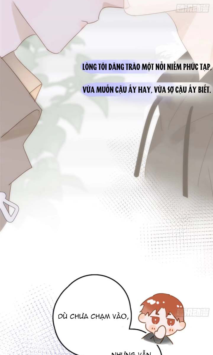 đêm đầy sao nói với em chapter 35 41