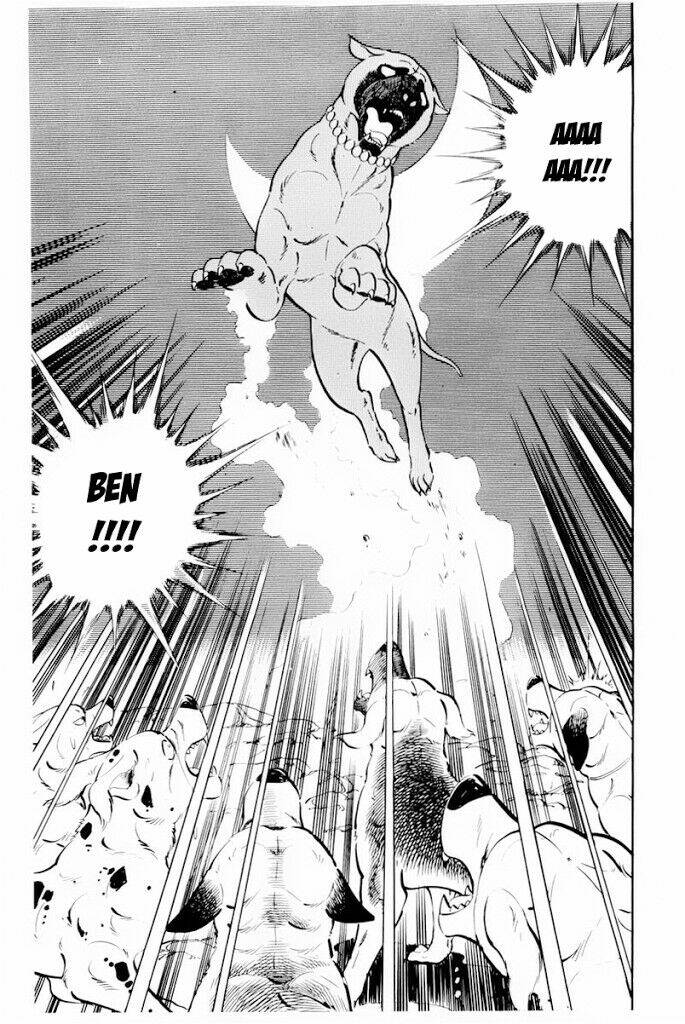 chú chó có nghĩa - ginga nagareboshi gin chapter 30.2 28