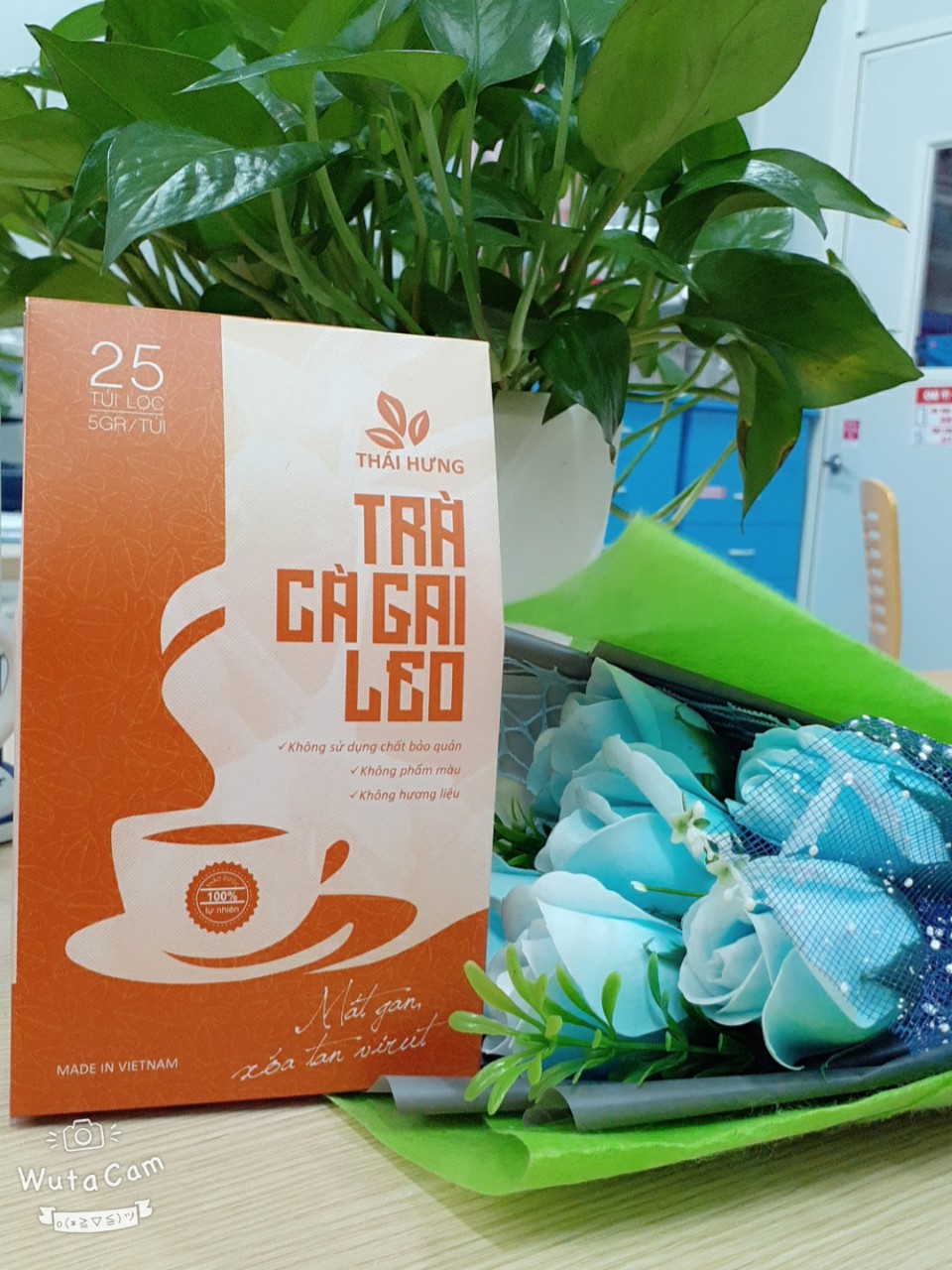 Trà Cà gai leo Thái Hưng - Thải độc gan, mát gan, giải rượu - Hộp 25 túi lọc 5g