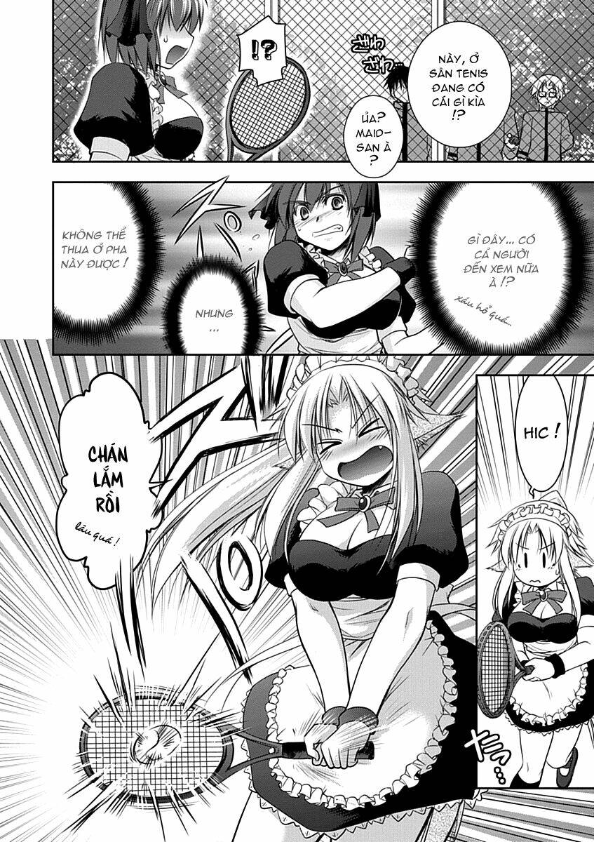 perowan! - hayaku shinasai! goshujinsama chapter 8 15