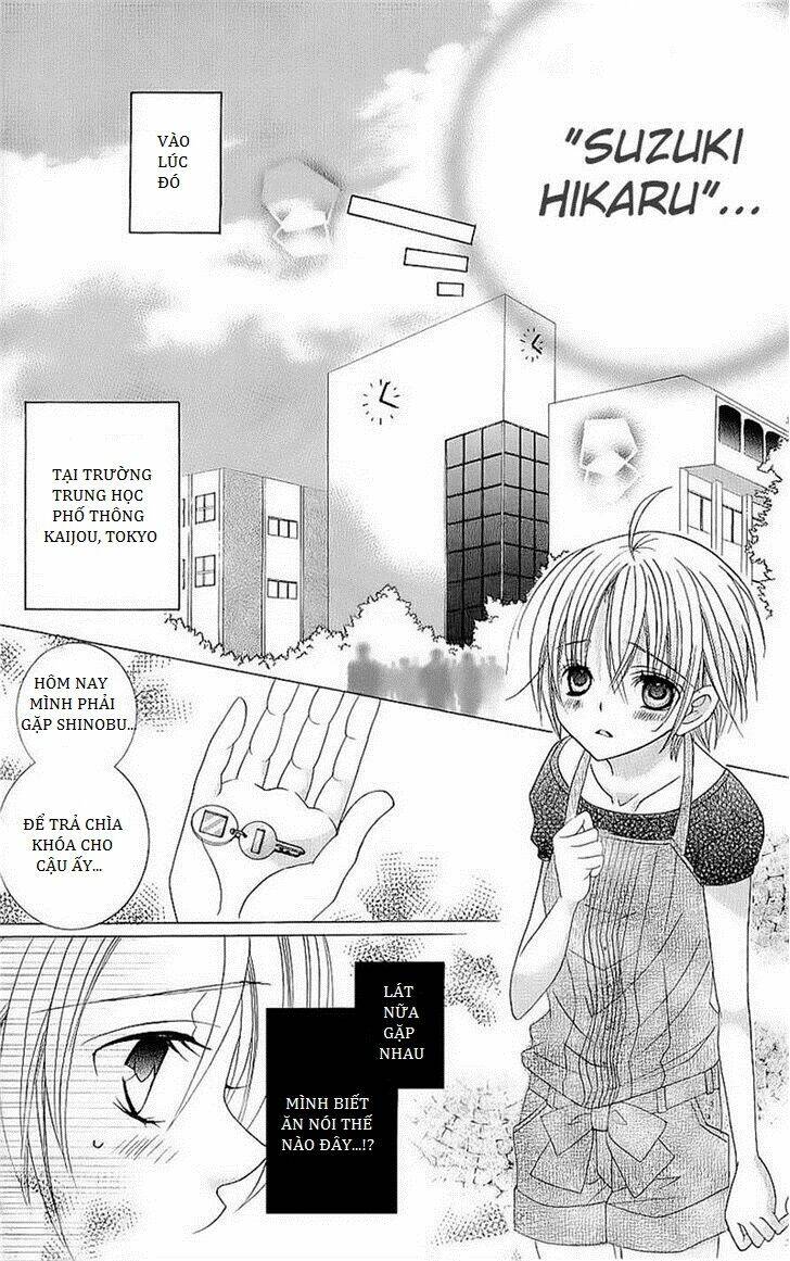 suki desu suzuki-kun!! chapter 43 7