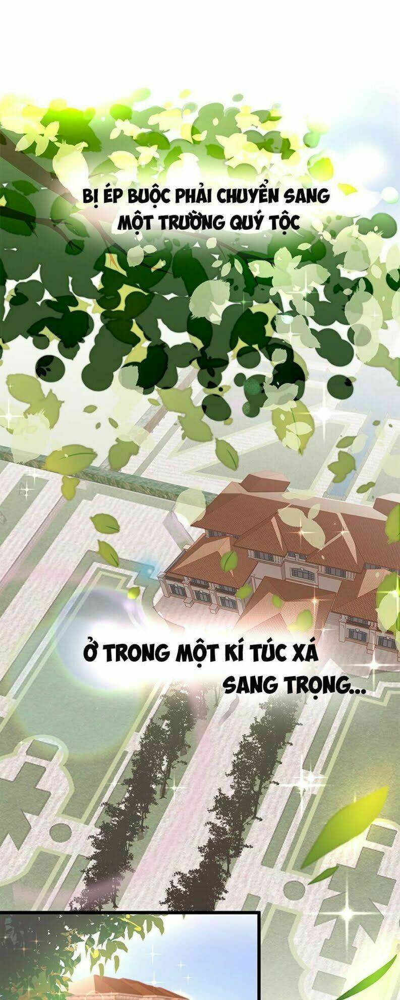 ứng cử viên hôn phu của ta chapter 0 6