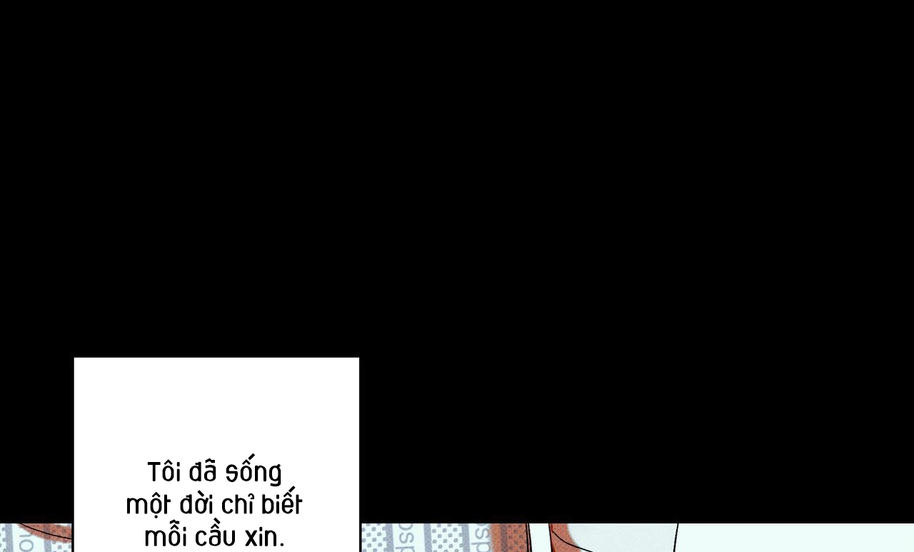 chàng giao pizza và gold palace chapter 36 39