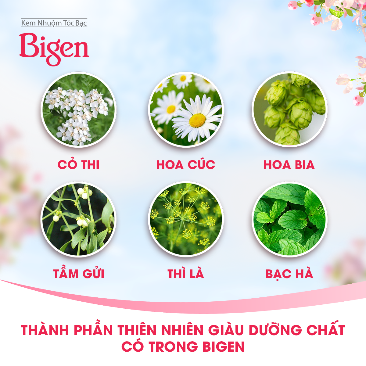 Hình ảnh Thuốc nhuộm dưỡng tóc phủ bạc thảo dược Bigen Speedy Thương hiệu Nhật Bản 80ml dạng kem 