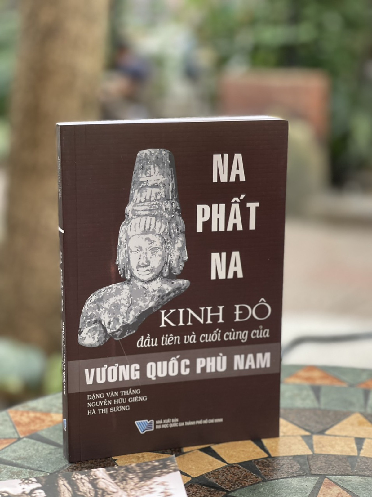 Na Phật Na Kinh Đô Đầu Tiên Và Cuối Cùng Của Vương Quốc Phù Nam - Đặng Văn Thắng - (bìa mềm)