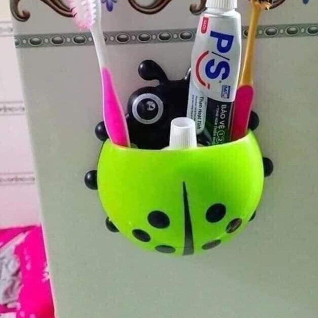 Con Bọ Cắm Bàn Chải, Để Đồ Hút Chân Không