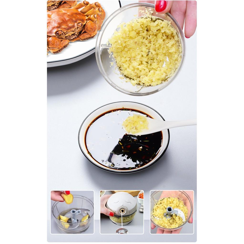 Dụng cụ xay tỏi ớt, xay gia vị kéo tay bằng thép không gỉ mẫu mới 2021