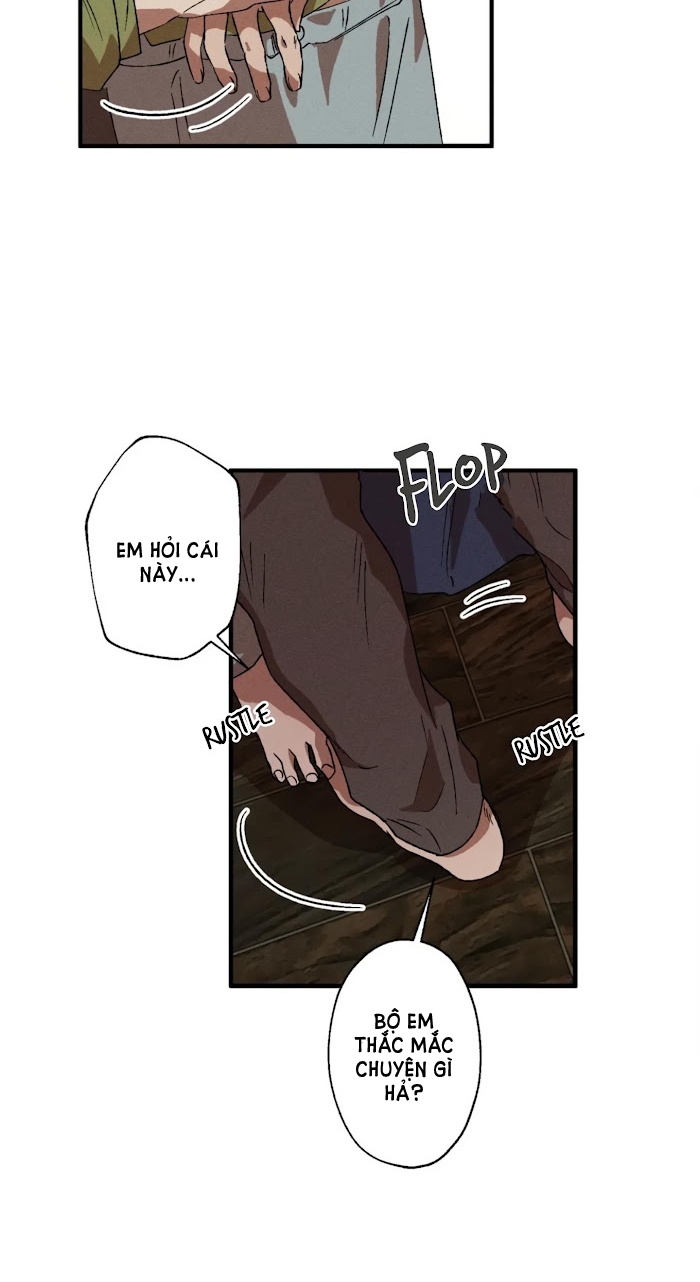 bẫy kép chapter 9 39