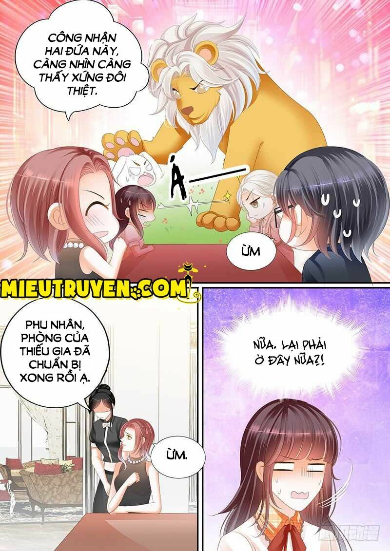 thiểm hôn kiều thê chapter 61 2