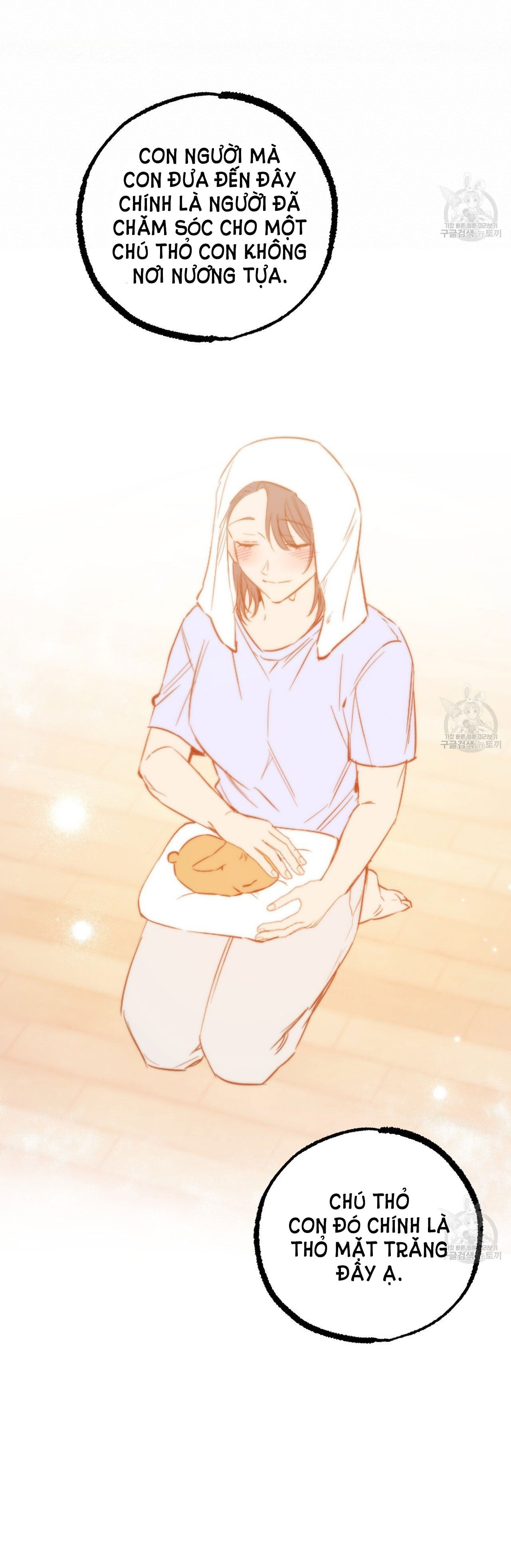 những chú thỏ của hapypy chapter 62.2 2