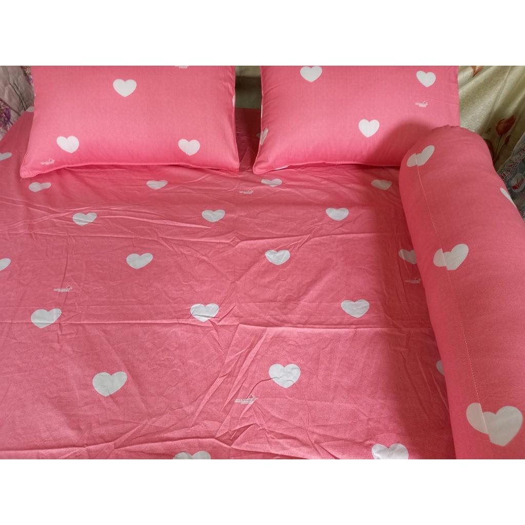 Bộ Drap gối Cotton  vải THẮNG LỢI