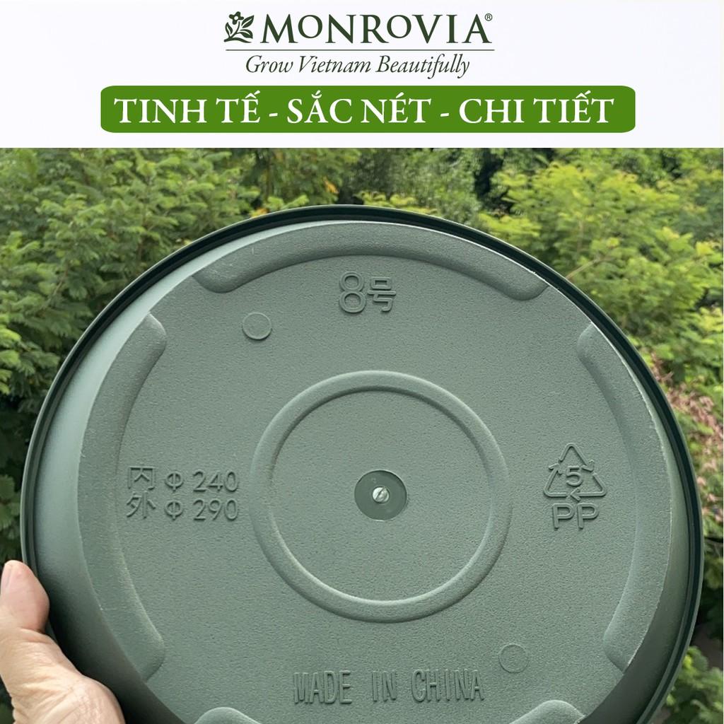 Đĩa lót chậu nhựa trồng cây Monrovia chậu trồng cây, chậu cây cảnh mini, để bàn, treo ban công, treo tường, chính hãng