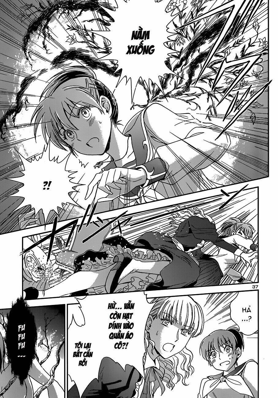 áo giáp vàng: nữ thánh đấu sĩ chapter 2 40