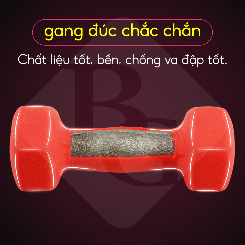 Bộ 2 Tạ tay cao cấp Thái Lan 2Kg BG
