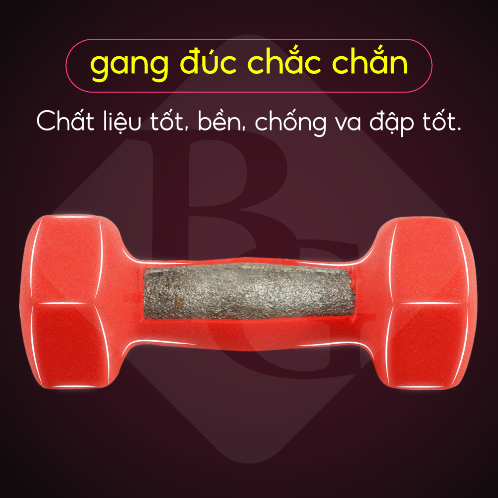 Hình ảnh Bộ 2 Tạ tay cao cấp Thái Lan 2Kg BG (hàng nhập khẩu) 