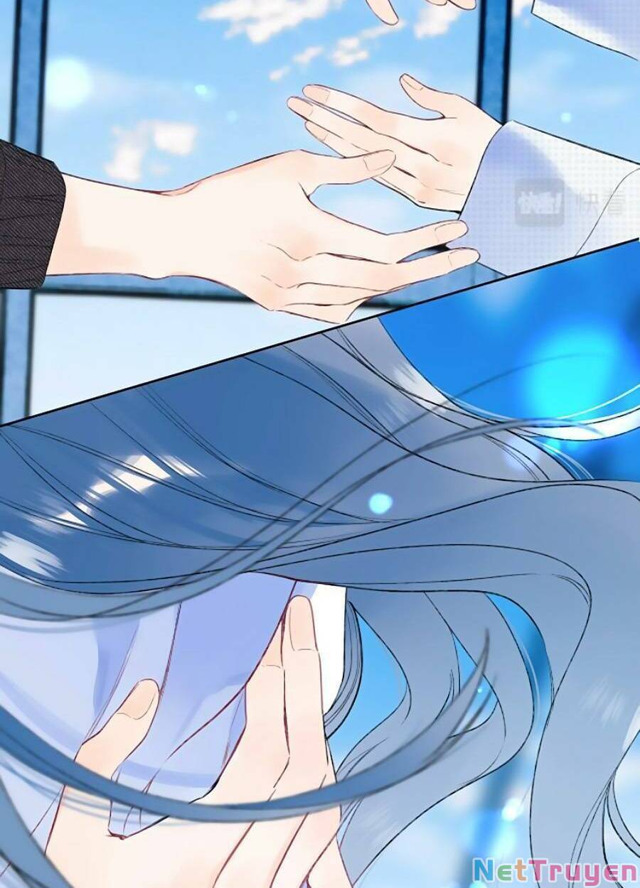 đừng khóc chapter 95 53