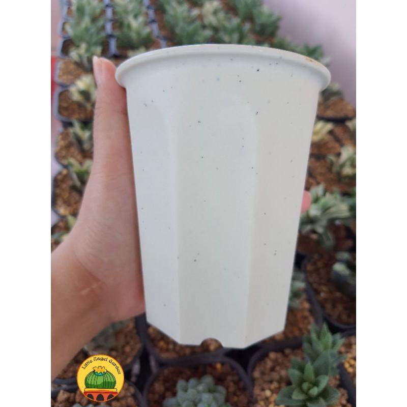 Chậu nhựa giả sứ kích thước 9 * 10.6cm, thích hợp trồng sen đá, xương rồng, haworthia