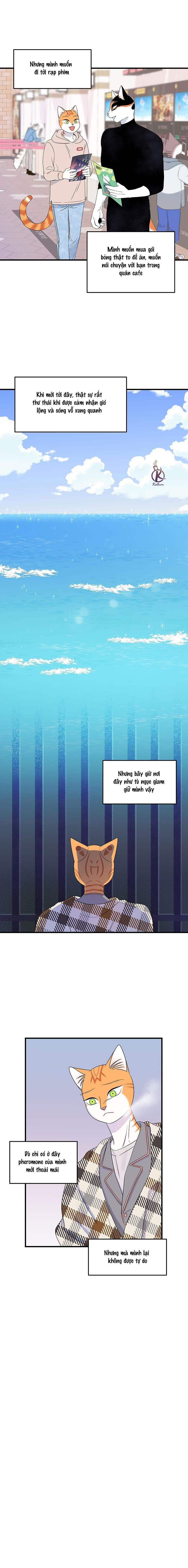 dự án xanh chapter 52 12