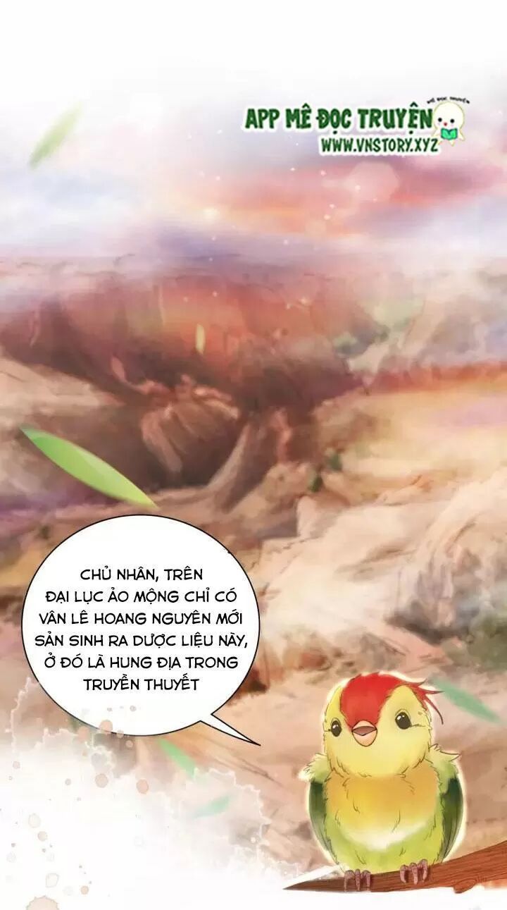 cực phẩm phế vật tiểu thư chapter 105 4