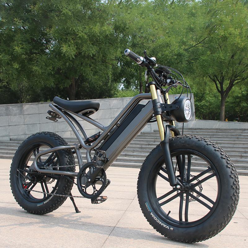 Xe Đạp Điện 1000W Dành Cho Người Lớn Xe Đạp Điện 20 Inch Lốp Xe Ebike 48V 17.5Ah Nam Nữ Đi Đen Color: 48V 750W
