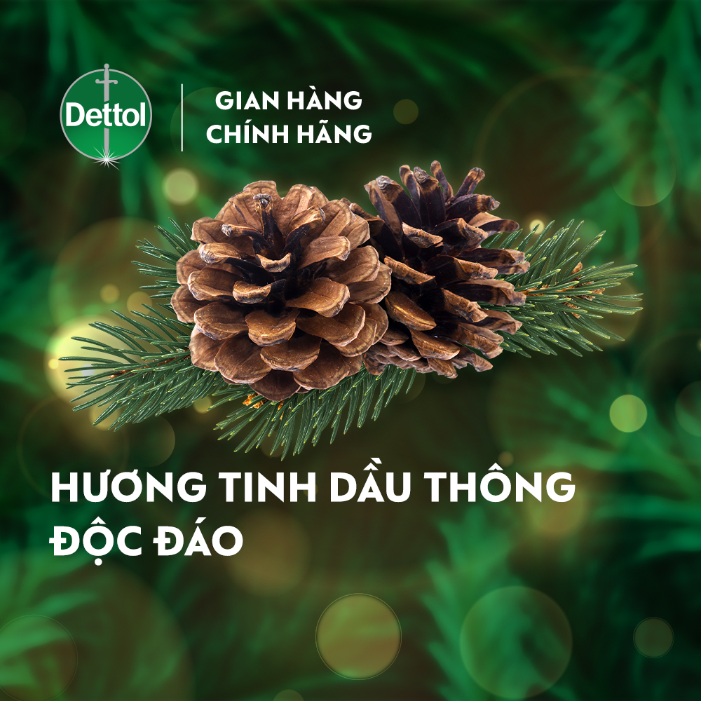 Nước rửa tay Dettol kháng khuẩn hương tinh dầu thông - Chai 250g