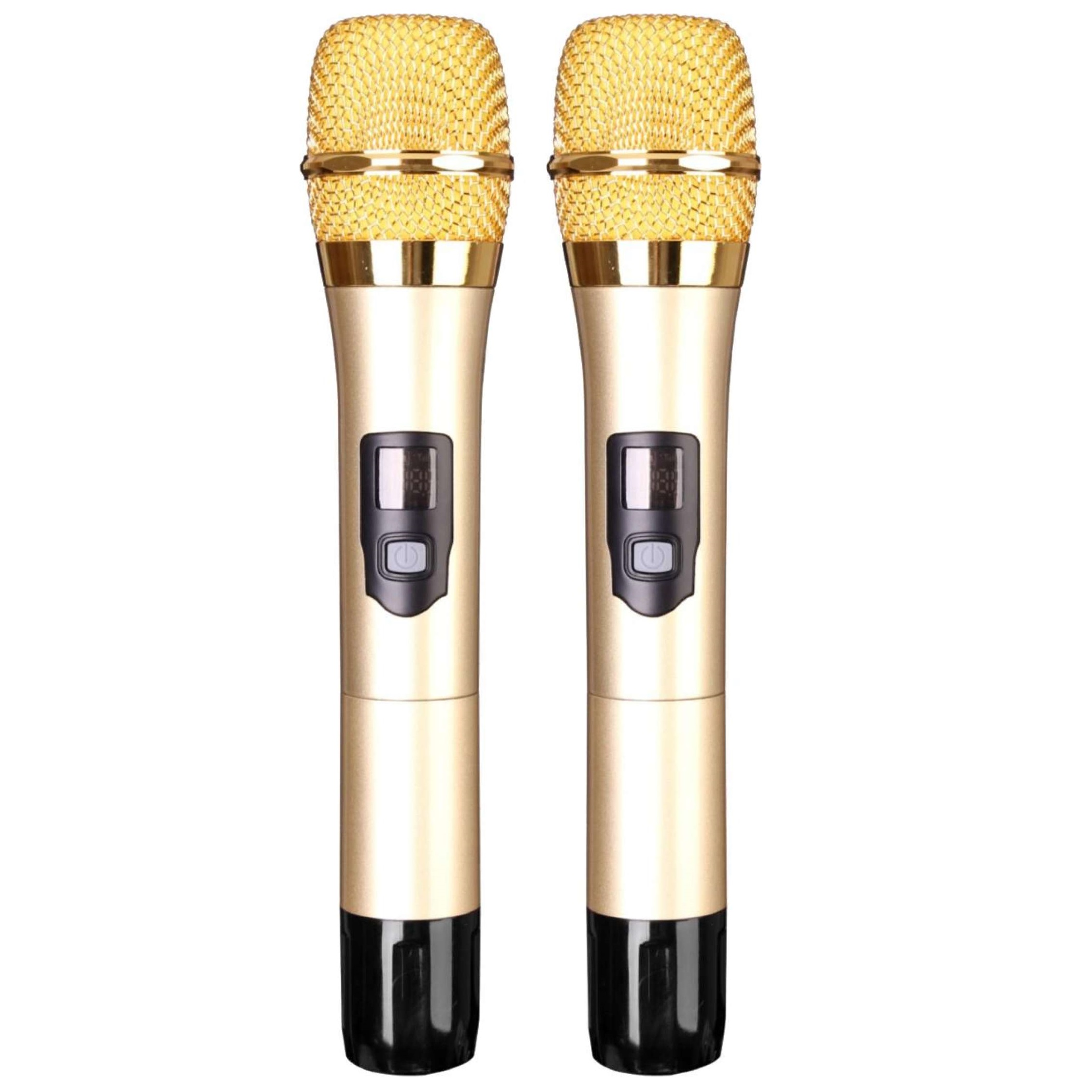 Loa Kéo Di Động Karaoke Bass 50 Daichipro DCP-18A 5 Tấc - Chính Hãng