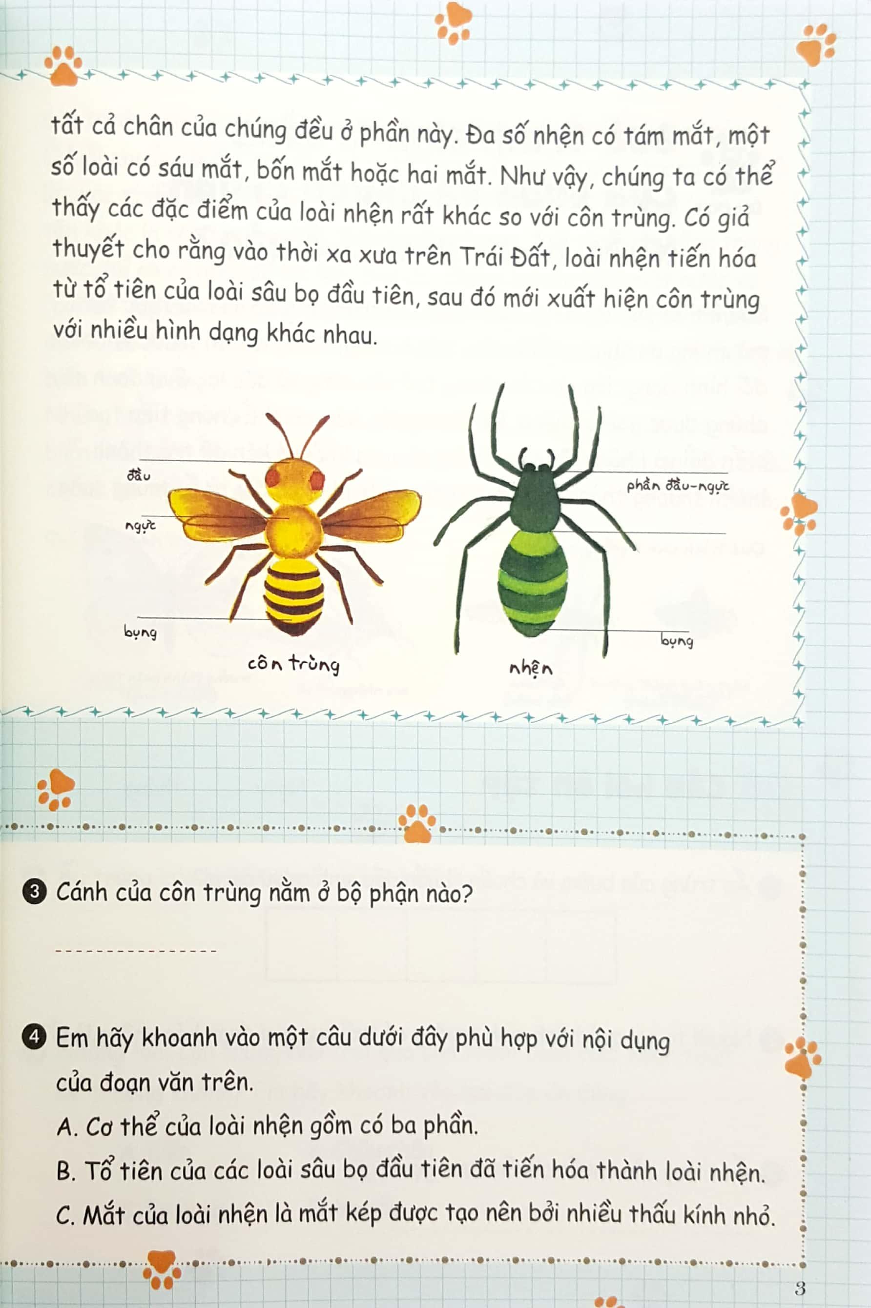 Bồi Dưỡng Kĩ Năng Đọc Hiểu Cho Học Sinh Tiểu Học - Bí Mật Của Tự Nhiên - Quyển 3 (Tái Bản 2019)
