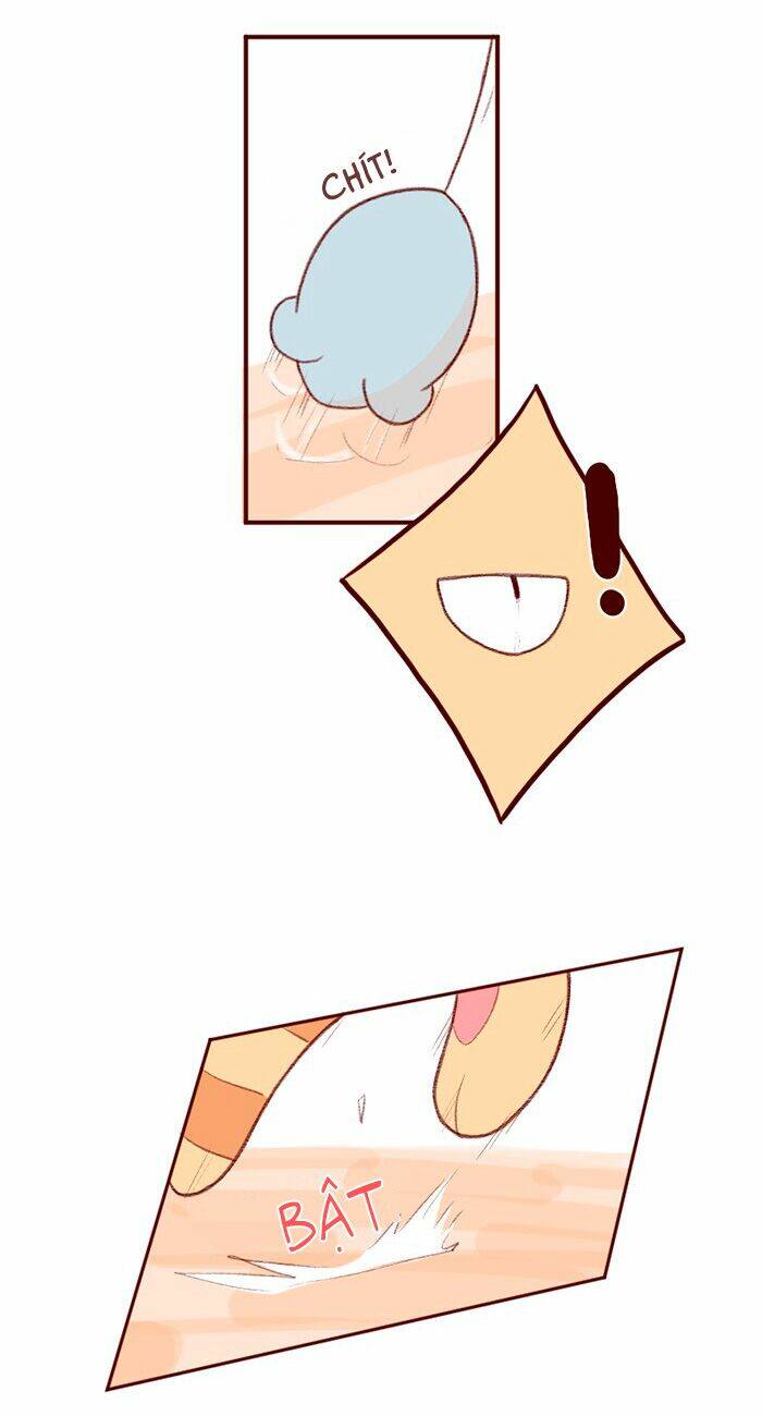 saphie: chú mèo một mắt chapter 3 3