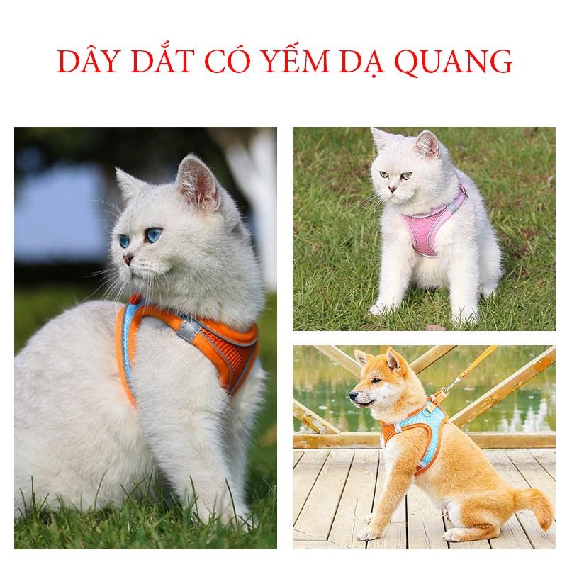 Dây dắt có yêm dạ quang cho chó mèo