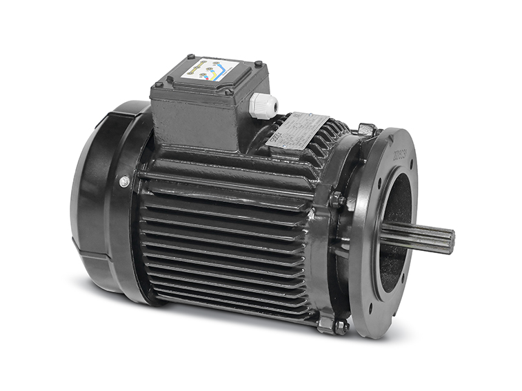 Motor quạt nước ao tôm Sagar 1.5kW 4P 3 pha 380V 50Hz IE2 Class H- Hàng chính hãng