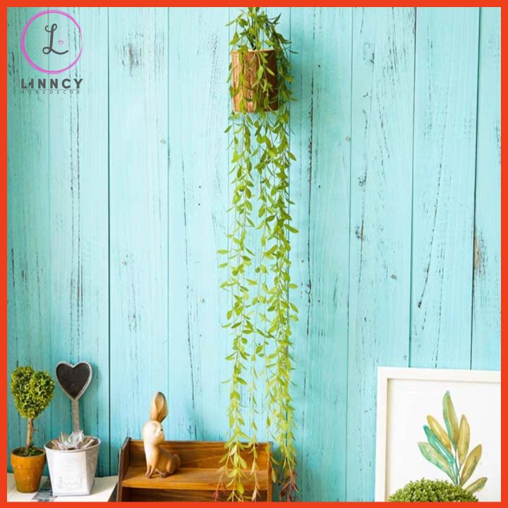 Chậu Cây Mini Gốc Cây Trang Trí Bàn Kệ Tủ Trang Trí Tương Làm Quà Tặng Decor độc đáo