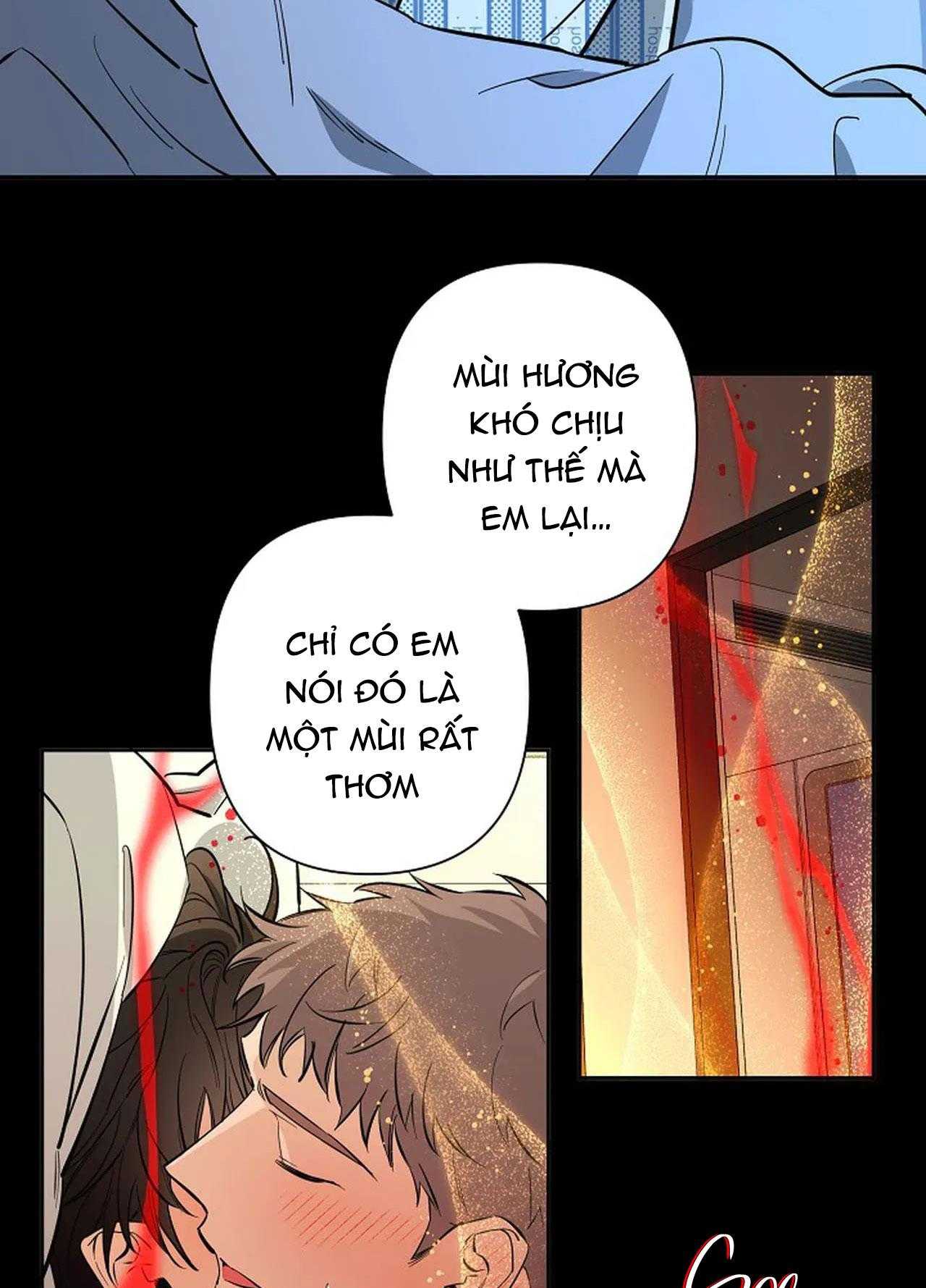 đêm dịu dàng chapter 71 7