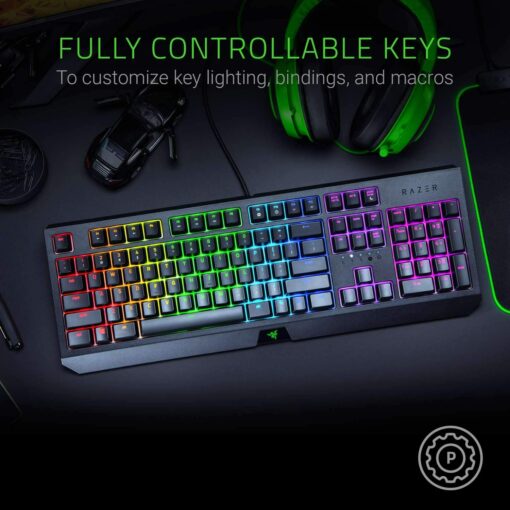 Bàn phím cơ Razer Blackwidow Green Switch 2019 - Hàng Chính Hãng