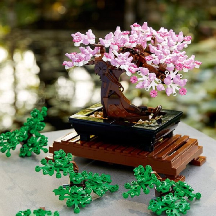 Đồ Chơi Lắp Ráp LEGO CREATOR Cây Bonsai 10281