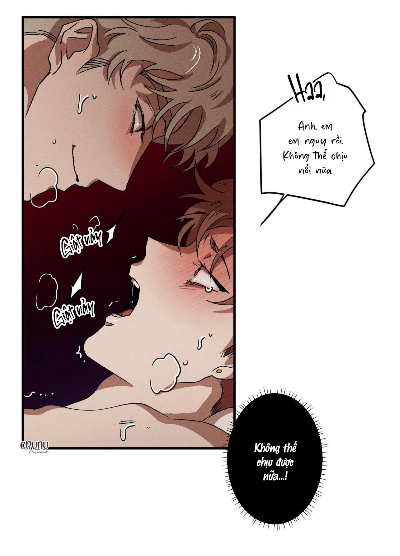 bẫy đôi ngọt ngào chapter 31 24