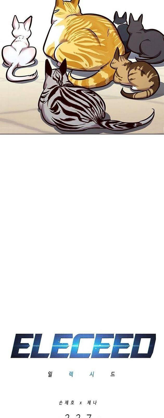 biến thân thành mèo chapter 227 4