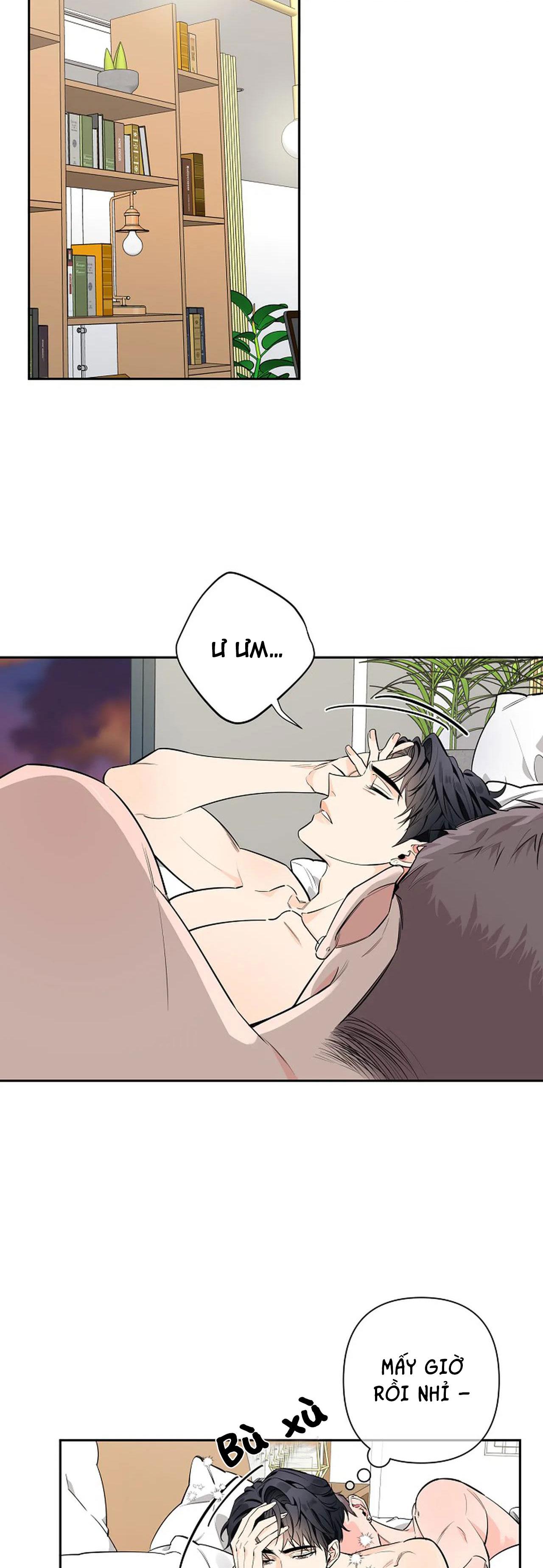 đêm dịu dàng chapter 32 2